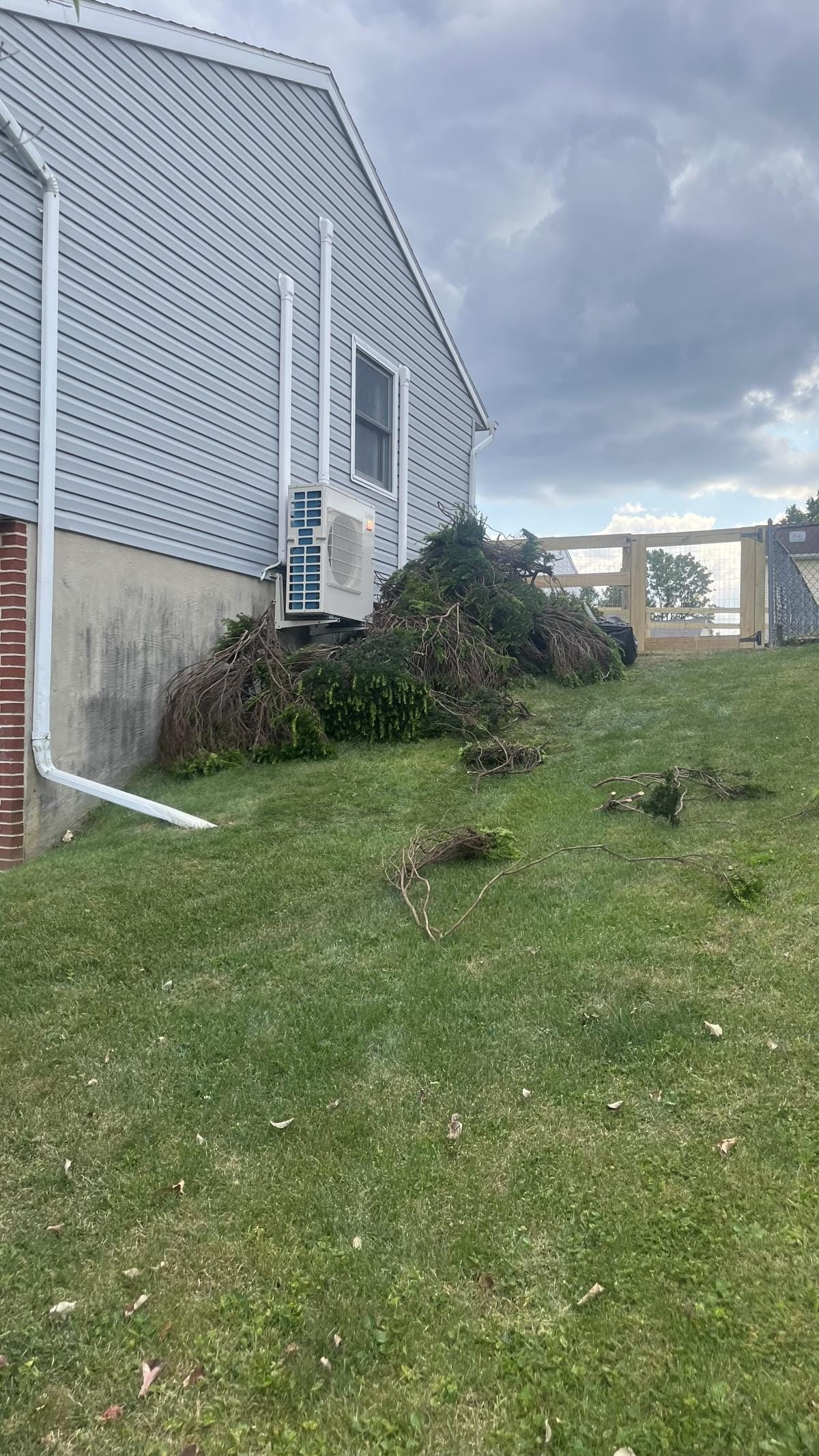 Overgrown brush and dead branches piled against the side of a house