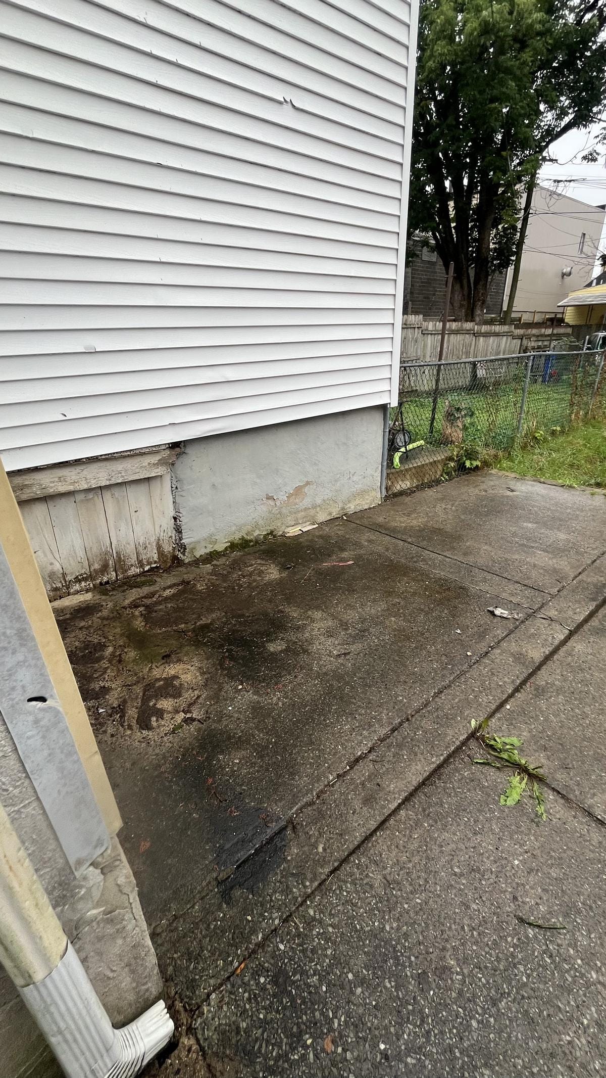 Same side-yard corner cleared after junk removal
