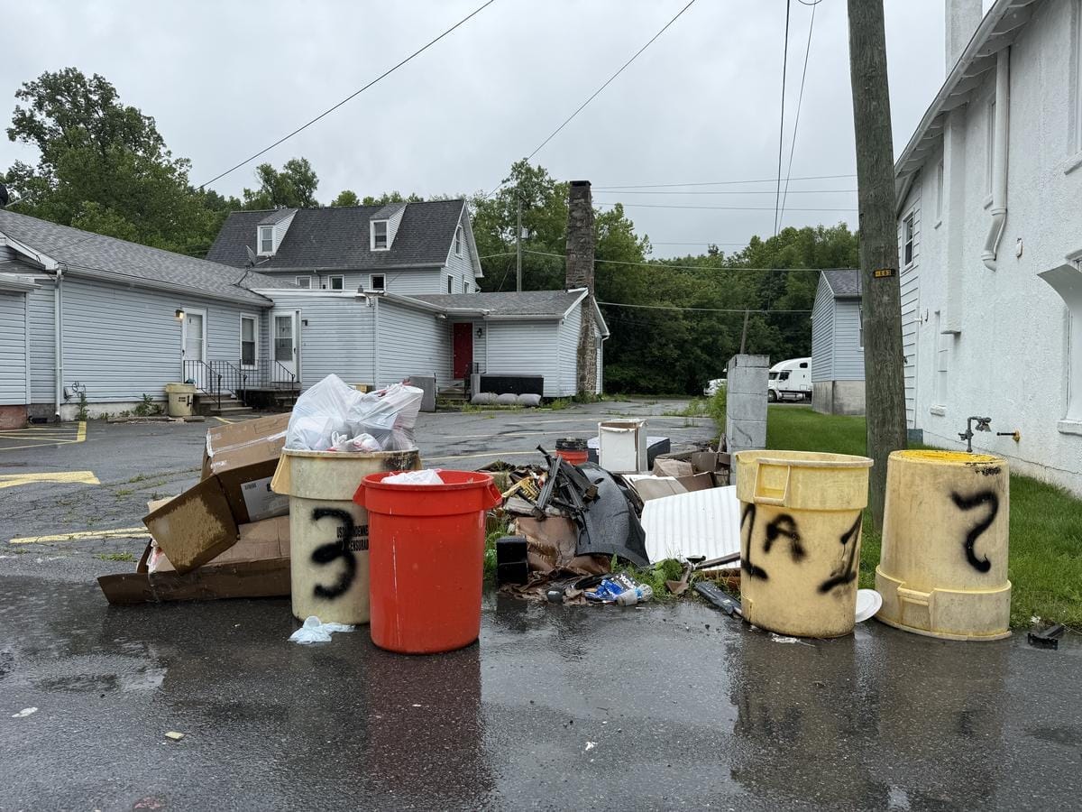 Pile of cardboard and blue bin behind a commercial building